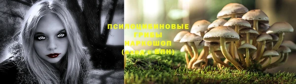 a pvp Магас