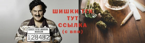 a pvp Магас