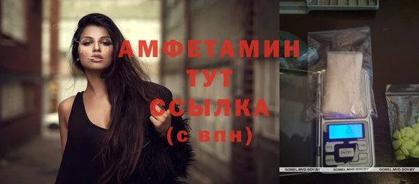 a pvp Магас
