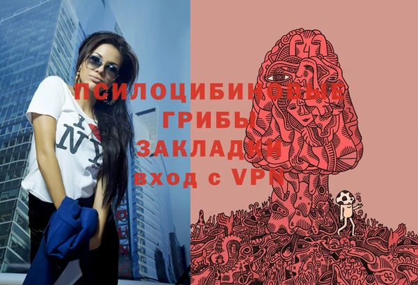 a pvp Магас